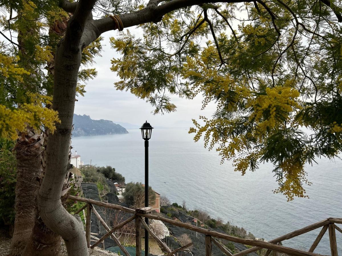 Villa Hermosa Costiera Amalfitana Luaran gambar